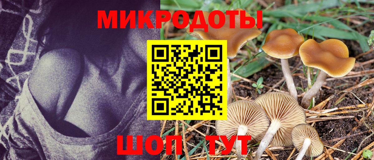 Тосно  Галлюциногенные грибы прущие грибы  наркотики  Вход с VPN 