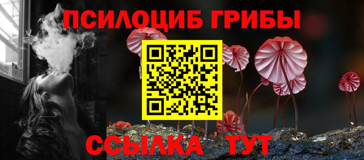 Псилоцибиновые грибы Psilocybe Тосно